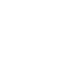 engine-p